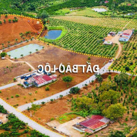 Bán Đất Thổ Cư 139M2 Lộc An, 800 Triệu, Ngay Nhà Thờ Giáo Xứ Lộc An