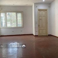 (Chính Chủ)Bán Nhà Phân Lô 5 Tầng Đẹp,2 Thoáng,Đường Nguyễn Chánh, Cầu Giấy, Hà Nội,Giá Siêu Hời