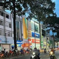 Bán Nhàmặt Tiềnnguyễn Thái Học, P. Phạm Ngũ Lão, Quận 1 -Diện Tích8X20M - 5 Tầng Hđt 350 Tr/Th - Giá Bán 95 Tỷ
