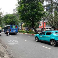 Bán Nhà Mặt Tiền Đường Bàu Cát Tân Bình, Dt: 8 X 28M Vuông Vức 4 Tầng, Hđ Thuê 100 Triệu