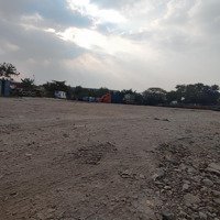 Mặt Tiền Võ Chí Công Gần Vòng Xoay Phú Hữu - 1166M2 Full Thổ Cư Không Quy Hoạch - Giá Chỉ 76 Triệu/M2