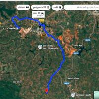 GIA ĐÌNH CHO CON VỀ SAIGON HỌC CẦN NHƯỢNG LẠI 55320 M2 (5,5HA) ĐẤT LÂM NGHIỆP LH:0931351494