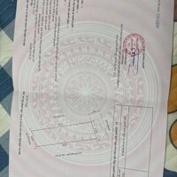  Bán lô đất mặt ngõ 172 Cát Linh, Tràng Cát 134,5m2 giá 29tr/m2