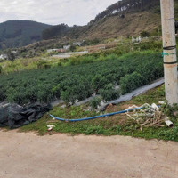 Đất Gia Lâm Ngang 28M 1.000M Có Thổ Cư