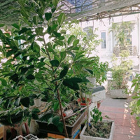Hạ Giá Bán Gấp Nhà Mặt Tiền 3 Tầng 64M2 Đường Đỗ Nhuận, Sơn Kỳ, Tân Phú. Sát Vách Aeon.