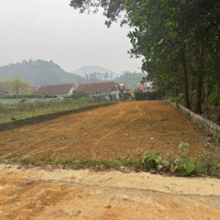 Bán 392M Full Thổ Cư Tại Bãi Dài, Tiến Xuân, Thạch Thất (Sát Vách Xanh Villas)