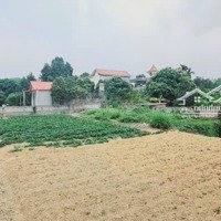 Siêu Phẩm Nghỉ Dưỡng 726M2 300 Thổ Cư Tại Hồ Văn Sơn Nam Phương Tiến