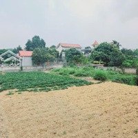 Siêu Phẩm Nghỉ Dưỡng 726M2 300 Thổ Cư Tại Hồ Văn Sơn Nam Phương Tiến
