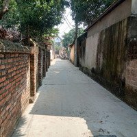 Chính Chủ Cần Bán 43M2 Trạch Mỹ Lộc, Hn