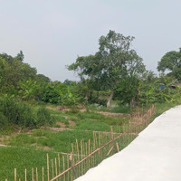 Bán Đất Gia Bình, Bắc Ninh. 130M2 *Mặt Tiền5M * 1,72 Tỷ. Đường Ô Tô, Full Thổ Cư.