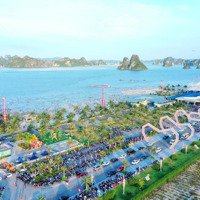 Chính Chủ Bán Liền Kề Mặt Biển Tại Kđt Phương Đông 0981 060 662