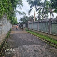 Ngộp - Bán Đất Tại Tây Hòa, Trảng Bom, Đồng Nai. Đang Cho Thuê 14 Triệuieu/Tháng. Ql1A 1 Sẹc 200M