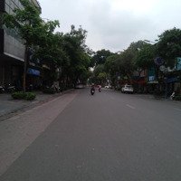 Bán Đất Mặt Phố Hàng Bài 2230M2 Mặt Tiền 35M Full Thổ Cư, Sử Dụng Đa Mục Đích!!!
