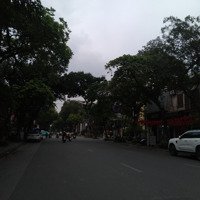 Bán Đất Mặt Phố Hàng Bài 2230M2 Mặt Tiền 35M Full Thổ Cư, Sử Dụng Đa Mục Đích!!!