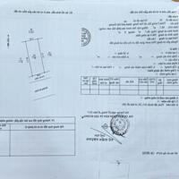 Bán đất mặt đường Phúc Liễu, ph Tân Hưng, TP Hải Dương, 66.7m2, mặt tiền 5m, vị trí đẹp