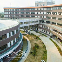 Bán Đất Tại Nguyễn Tạo, Hòa Hải, Ngũ Hành Sơn, Đà Nẵng, 4,25 Tỷ, 125 M2