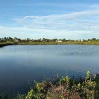 Bán đất ao tôm xã Gia Hòa 2, hơn 12,5 công, Mỹ Xuyên, Sóc Trăng