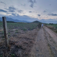 Đất Cây Hàng Năm. Bằng Phẵng, Đẹp. Diện Tích Lớn