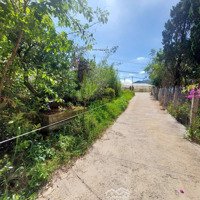 Bán Đất 2 Mặt Tiền Đường Trần Đại Nghĩa, 12,5 Tỷ, 319M2, Đẹp, Nhiều Tiện Ích