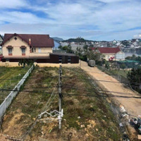 Bán Đất 2 Mặt Tiền Đường Mai Xuân Thưởng, Phường 8, Đà Lạt, Lâm Đồng, 22 Tỷ, 501 M2