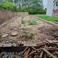 Bán Lô Đất 121M2 Hiệp Thuận, Phúc Thọ. Đất Tái Định Cư Cầu Phùng. Cách 120M Đến Quốc Lộ 32