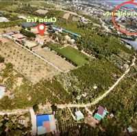 Bán Lô Đất 532M Mặt Tiền Đường Lý Thường Kiệt, Giáp Hồ Nam Phương - Phường Lộc Phát, Tp. Bảo Lộc