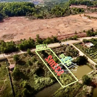 Bán Lô Đất 532M Mặt Tiền Đường Lý Thường Kiệt, Giáp Hồ Nam Phương - Phường Lộc Phát, Tp. Bảo Lộc