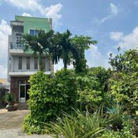 Bán nhà vườn P. Tân Vạn-Biên Hoà. 1000m2 sổ thổ cư. Đường ôtô. Giá 10 tỷ.