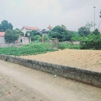 Hàng Phân Lô Nhanh Tay Thì Còn 726M2 300 Thổ Cư Tại Hồ Văn Sơn Nam Phương Tiến