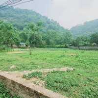 Bán Gấp 3200M2 Đất Chỉ Với Giá Bán 2 Triệu / M2 Tại Cư Yên, Lương Sơn, Hòa Bình, View Đẹp Uy Tín.