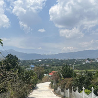 Bán Đất Ven Đà Lạt Đối Diện Homestay, Sổ Hồng Riêng Giá Chỉ 599 Triệu