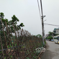 Chính Chủ Cần Tiền Gửi Bán Gấp Mảnh Đất Đẹp Bìa Làng Thôn Hội Phụ. Đông Hội. Đông Anh. Hà Nội