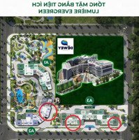 Chính Chủ Cần Bán Gấp 4 Căn 2 Ngủ Chênh Thấp Lumiere Giá Từ 4.5 Tỷ Căn 61M2 (Đơn Giá 74. 8 Triệu/M2)