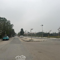 Bán Đất Nền 67.5M2, 126 Triệu/M2 Đấu Giá Cây Sung Đan Phượng, Hà Nội