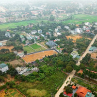 Chính Chủ Nhượng Lại 3 Lô 100M2 Full Thổ Cư, Trục Chính Trại Hồ-Cổ Đông