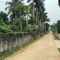 Cần Chuyển Nhượng 3 Lô Đất Tại Xã Phú Nghĩa Huyện Lạc Thủy Tỉnh Hoà Bình.