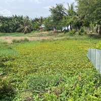 Bán Gấp Đất Nở Hậu Trung Tâm Xã Thanh Vĩnh Đông Châu Thành, Long An 559.1M² Giá Chỉ 3,5 Tỷ