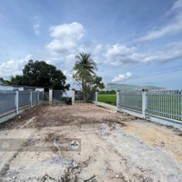 Bán Lô Đất 562M Xã Diên Lạc Mặt Tiền View Đồng Lúa Thích Hợp Mở Nhà Hàng Xây Biệt Thự Chỉ 4Tỷ990