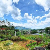 Bán Lô Đất Ngộp Ngay Khu Dân Cư Giá Cực Ưu Đãi