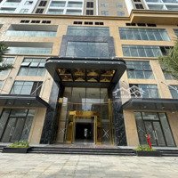 Giỏ Hàng Chuyển Nhượng Vung Tau Centre Point Giá Tốt - Sẵn Sàng Bàn Giao Nhà Ngay Hôm Nay