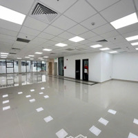 [10M X 20M] Tòa Nhà -Thang Máy - Pcccmặt Tiềntrục Đường Trường Sơn Qtân Bình - Sát Sân Bay - Gía 165 Triệu