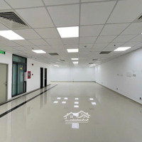 [10M X 20M] Tòa Nhà -Thang Máy - Pcccmặt Tiềntrục Đường Trường Sơn Qtân Bình - Sát Sân Bay - Gía 165 Triệu
