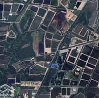 Đường Nhựa 6M Xã Tam Thôn Hiệp Cần Giờ - Mặt Tiền 33M Đã Có 100M2 Thổ Cư, Chỉ 3.5 Triệu/M2