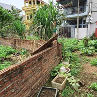 Chỉ 3,55 Tỷ. Thôn Lực Canh, Cạnh Vinhomes Cổ Loa Đẳng Cấp. 2 Mặt Thoáng. Cạnh Ô Tô