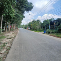 Chính Chủ Cần Bán Lô Đất 100M2, Giá Bán 1.3 Tỷ, Shr, Ngay Tđc Lộc An Bình Sơn, Cách Sb Long Thành 1 Km