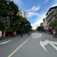 (Hiếm) Bán Nhà Kinh Doanh Mặt Phố Trần Đại Nghĩa Hai Bà Trưng, 1 Mặt Phố 1 Mặt Ngõ, 350M2, 81 Tỷ