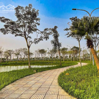Bán Đất Khu Đô Thị Mạnh Hùng Lý Nhân, Gần Hồ, Siêu Thị, Cổng Chính, Sổ Đỏ Sẵn, Giá Tốt Nhất Khu Vực