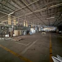 Cho thuê 3000m2 xưởng gỗ văn phòng làm việc,.. Tại Quảng Nam..