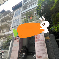 Chính Chủ Kv Hiếm Nhà Bán - Phân Lô Ô Tô - 2 Thoáng - Kinh Doanh