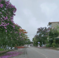 115M2 Full Thổ Cư, Giáp Thảo Viên, Giá Đầu Tư